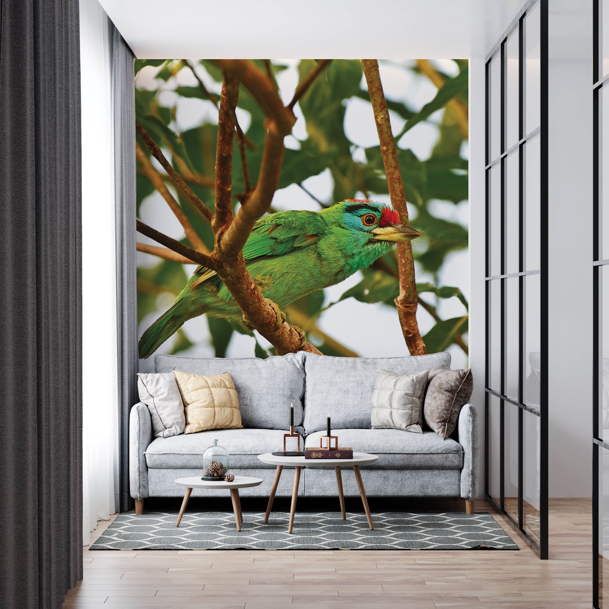 Blauwkeelbaardvogel op tak - LW00198 Fotobehang