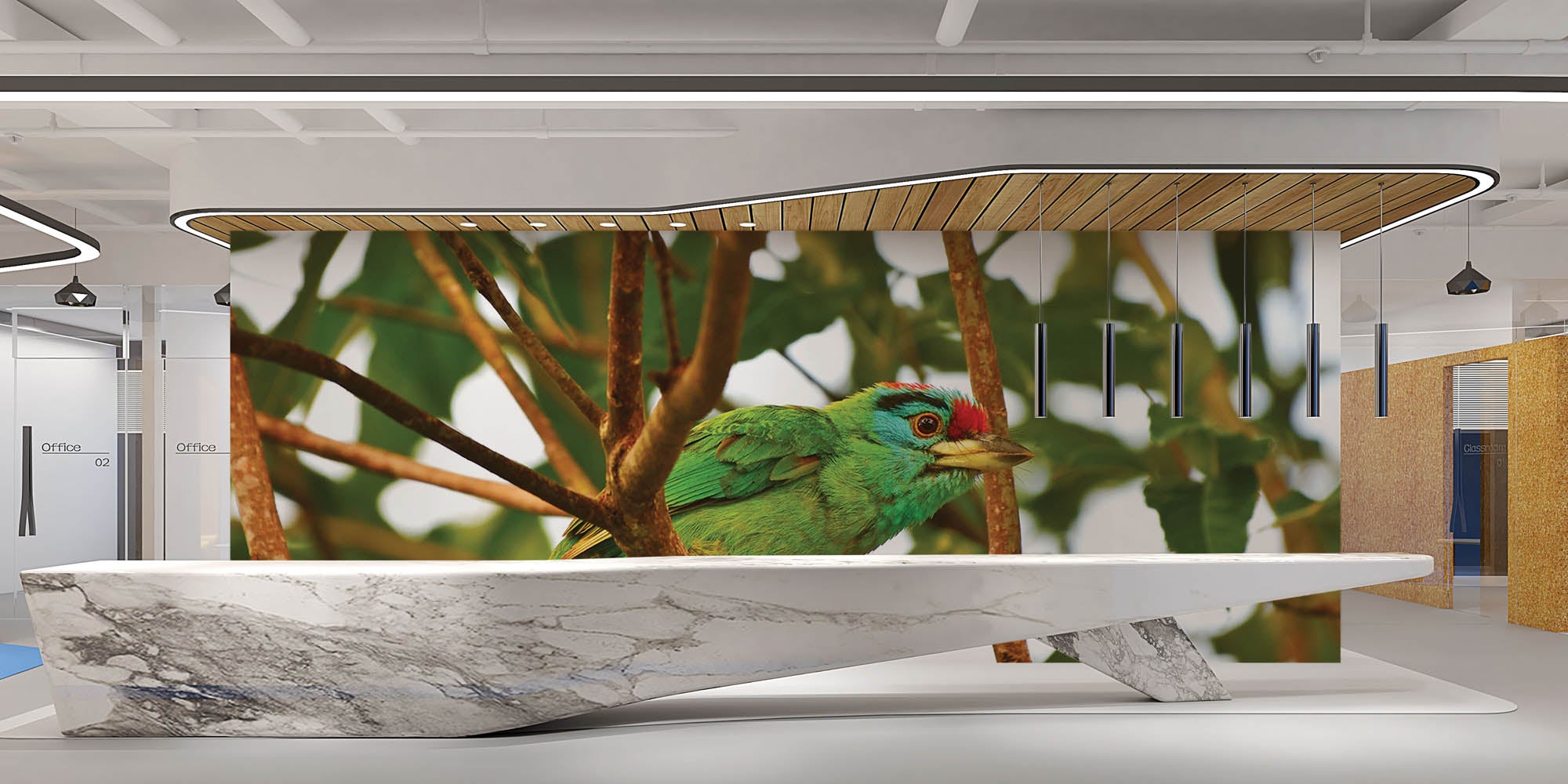 Blauwkeelbaardvogel op tak - LW00198 Fotobehang