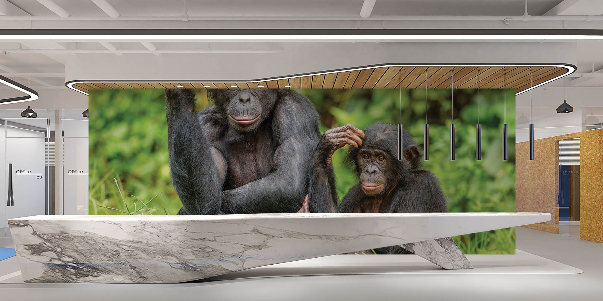 Bonobo aap met jong - LW00196 Fotobehang