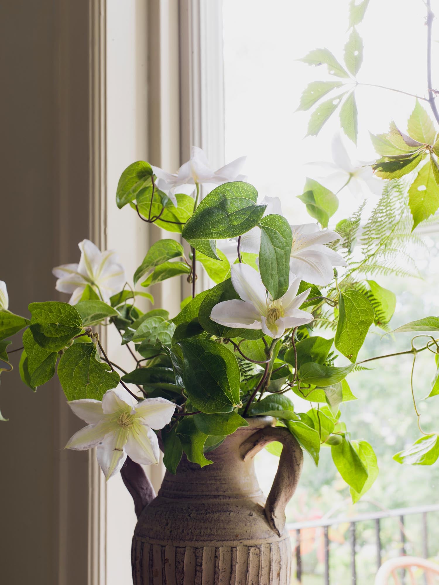 Boråstapeter Orangeri Olivträd 5704 Behang