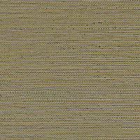 Casamance Golfe Du Bengale Zostera - 75972242