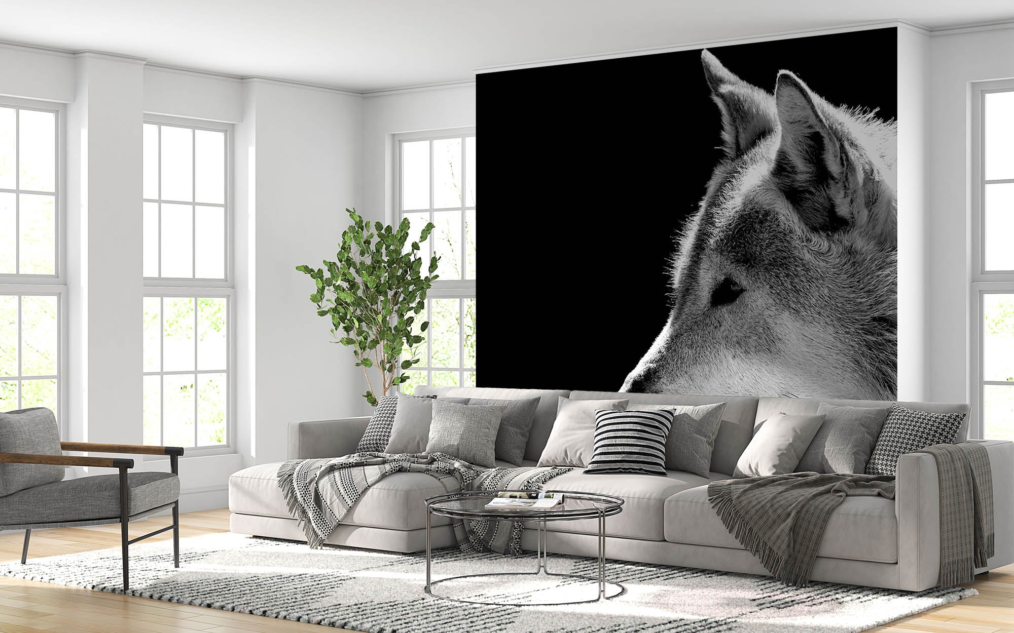 Close-up hoofd wolf - LW00208 Fotobehang