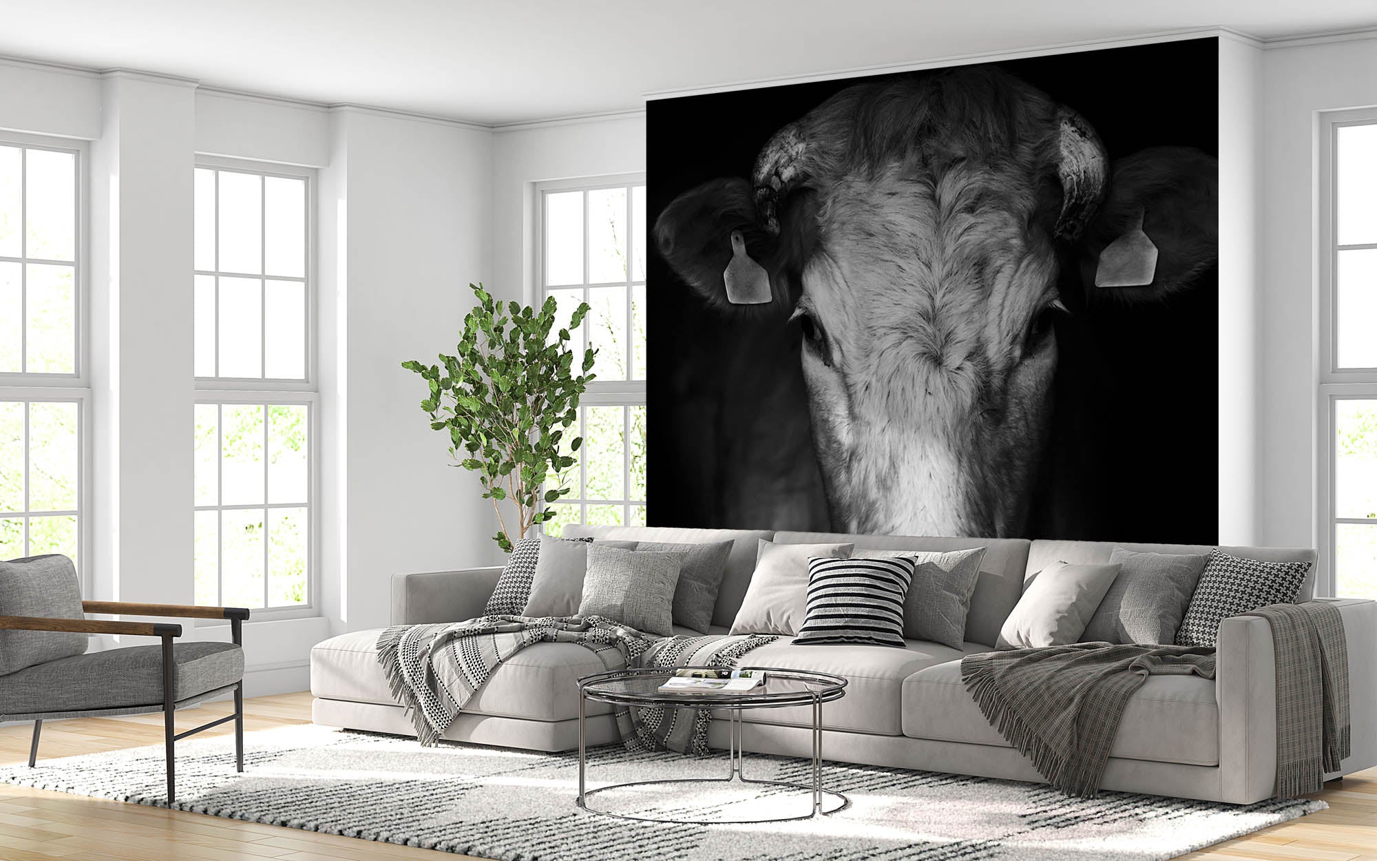 Close-up koe - LW00232 Fotobehang