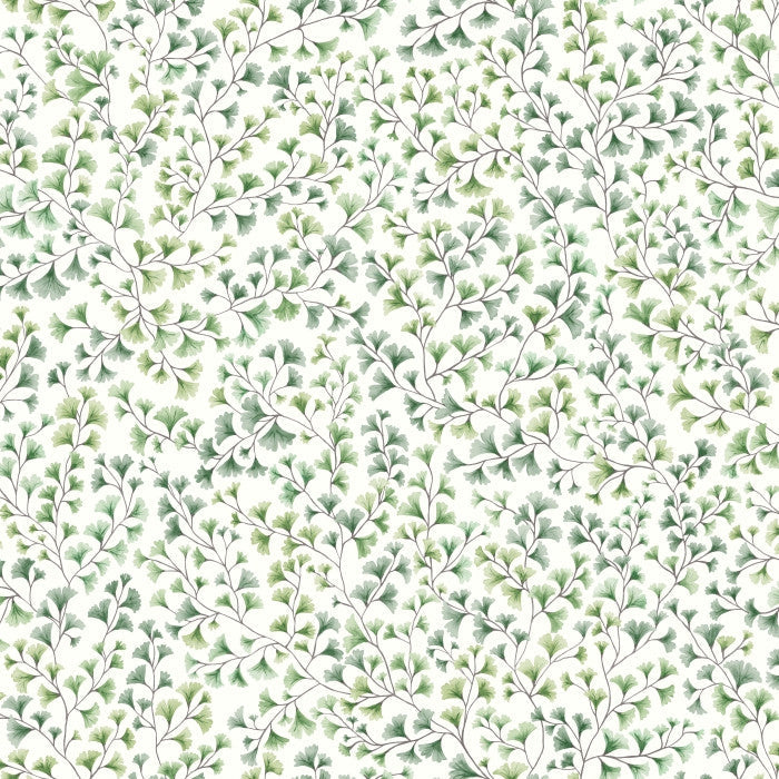 Cole & Son Botanical Maidenhair 115/6018