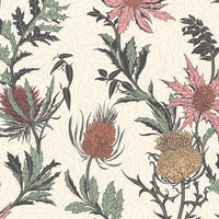 Cole & Son Botanical Thistle 115/14043