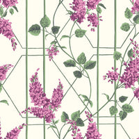 Cole & Son Botanical Wisteria 115/5013