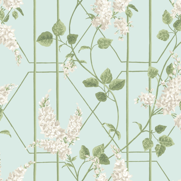 Cole & Son Botanical Wisteria 115/5014