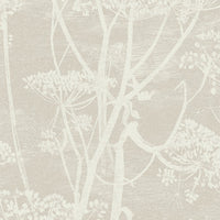 Cole & Son Contemporary Collection Cow Parsley 95/9051