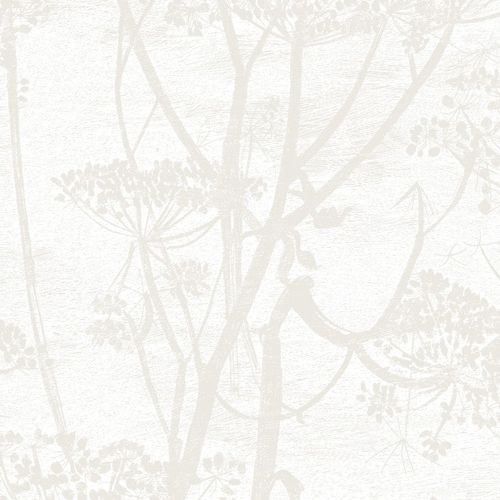 Cole & Son Contemporary Collection Cow Parsley 95/9052 Behang