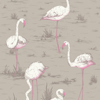 Cole & Son Contemporary Collection Flamingos 66/6042