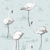 Cole & Son Contemporary Collection Flamingos 95/8047