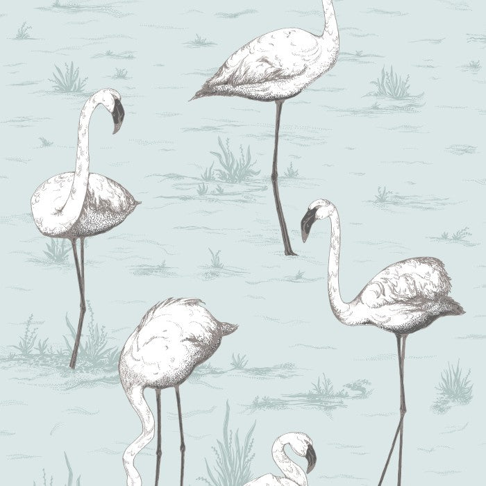 Cole & Son Contemporary Collection Flamingos 95/8047 Behang