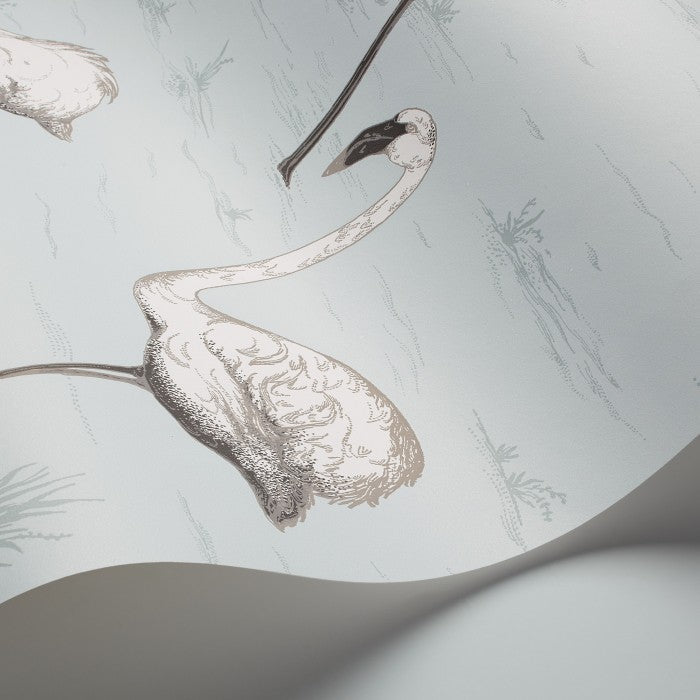 Cole & Son Contemporary Collection Flamingos 95/8047 Behang