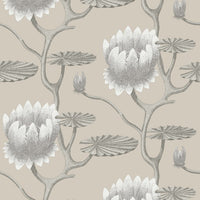 Cole & Son Contemporary Collection Summer Lily 95/4025