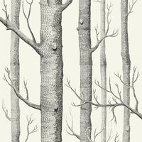 Cole & Son Contemporary Collection Woods 69/12147