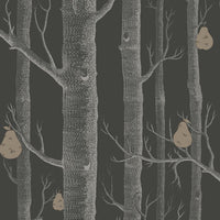 Cole & Son Contemporary Collection Woods & Pears 95/5031