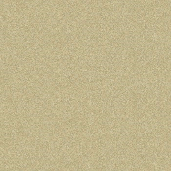 Cole & Son Curio Goldstone 107/9041