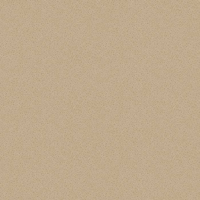 Cole & Son Curio Goldstone 107/9042