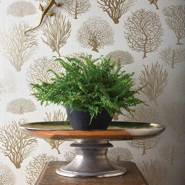 Cole & Son Curio Seafern 107/2011