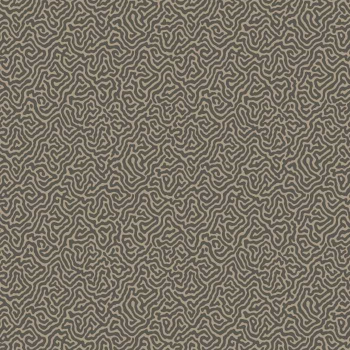 Cole & Son Curio Vermicelli 107/4017