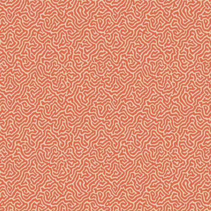 Cole & Son Curio Vermicelli 107/4018