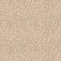 Cole & Son Curio Vermicelli 107/4019