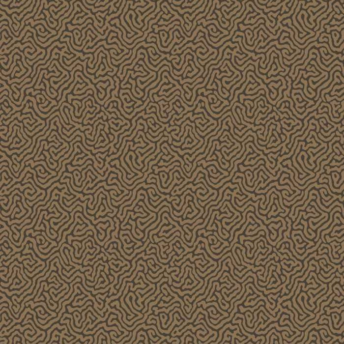 Cole & Son Curio Vermicelli 107/4020