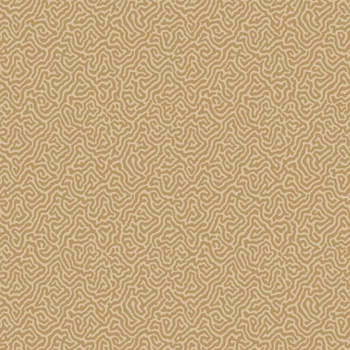 Cole & Son Curio Vermicelli 107/4021