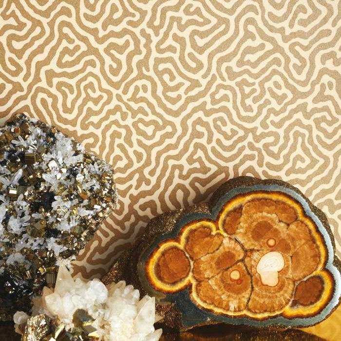 Cole & Son Curio Vermicelli 107/4021