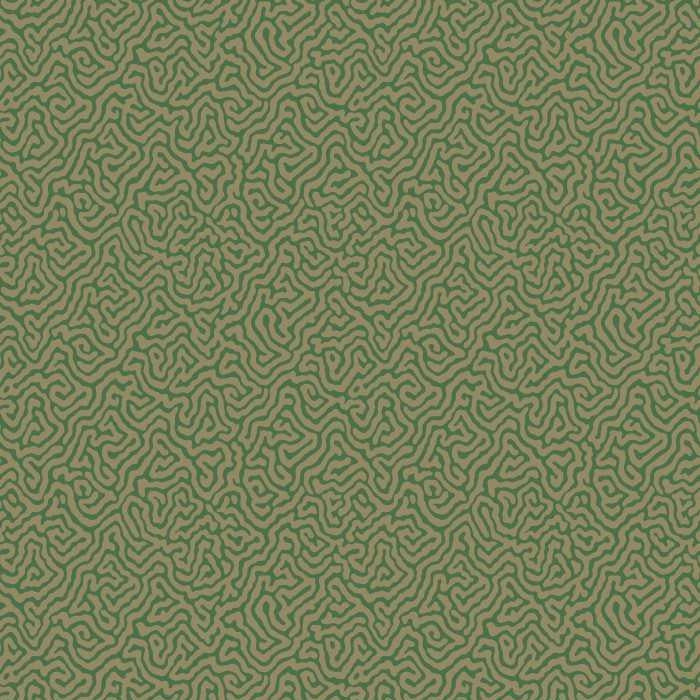 Cole & Son Curio Vermicelli 107/4022