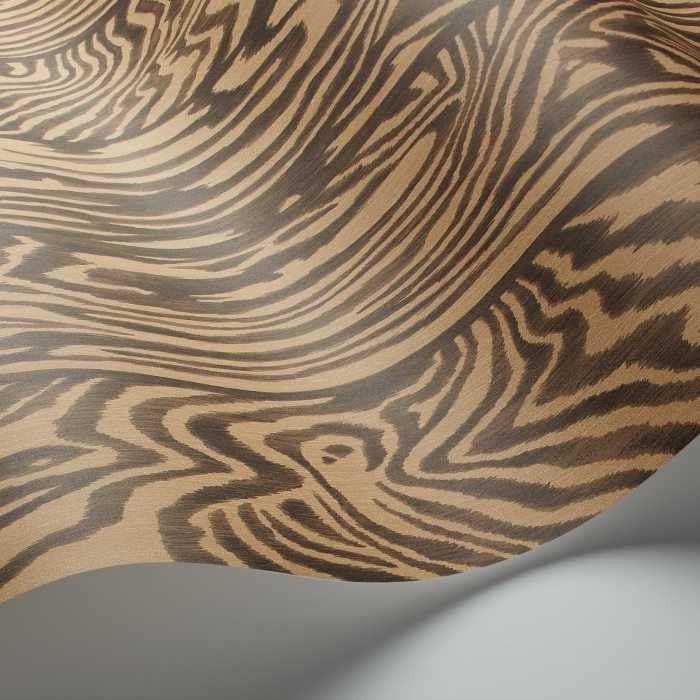 Cole & Son Curio Zebrawood 107/1002