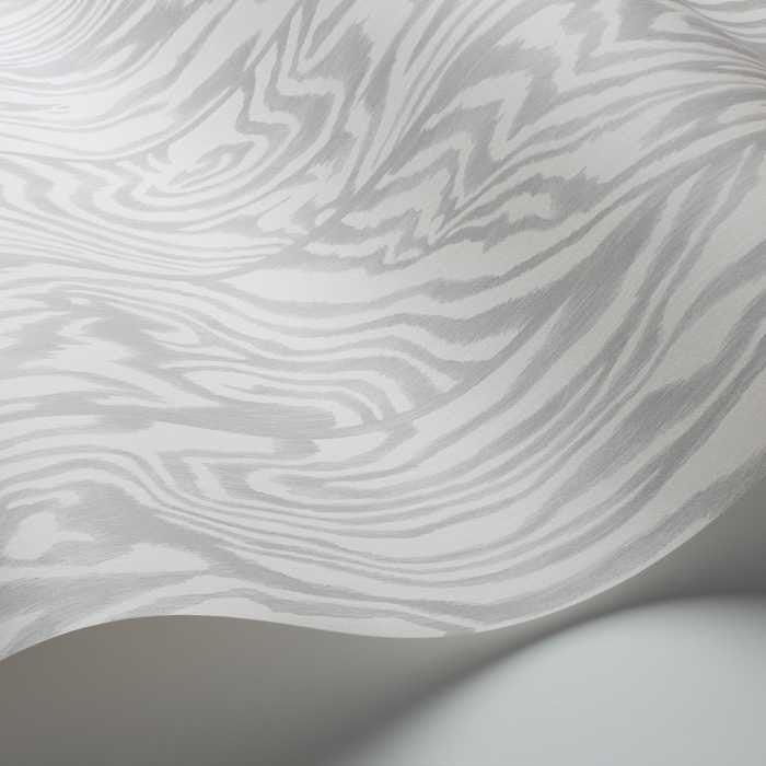 Cole & Son Curio Zebrawood 107/1004