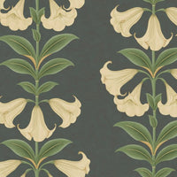 Cole & Son Seville Angel's Trumpet 117/3006