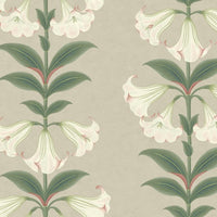 Cole & Son Seville Angel's Trumpet 117/3007