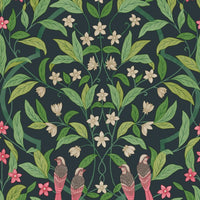 Cole & Son Seville Jasmine & Serin Symphony 117/10028