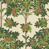 Cole & Son Seville Orange Blossom 117/1001