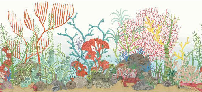 Cole & Son Whimsical Archipelago Border 103/12054