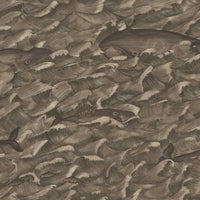 Cole & Son Whimsical Melville 103/1005