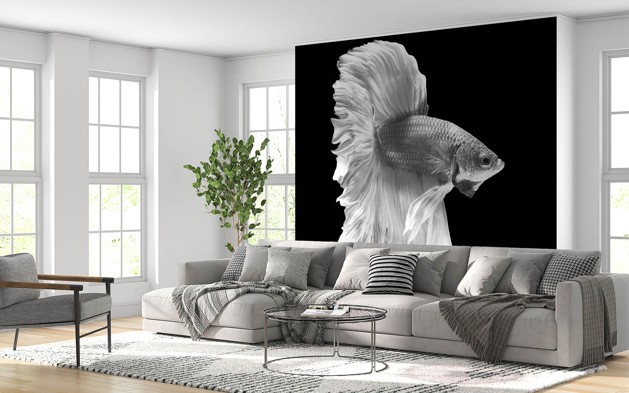 Crown Tail Betta vis- LW00229 Fotobehang