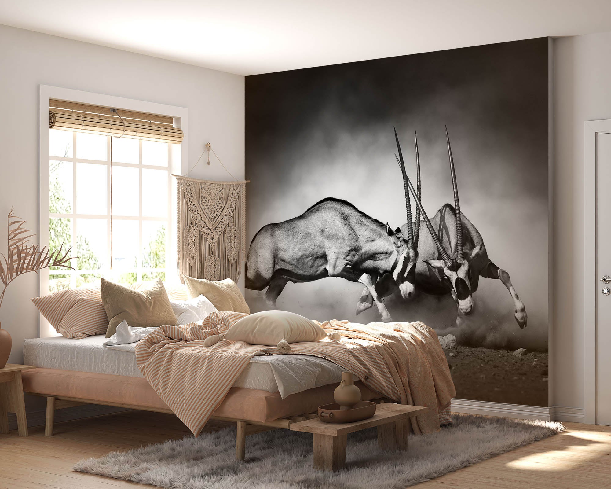 Duellerende gemsbokken - LW00218 Fotobehang