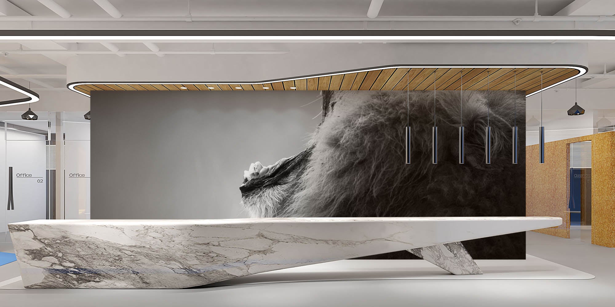 Een geeuwende leeuw - LW00210 Fotobehang