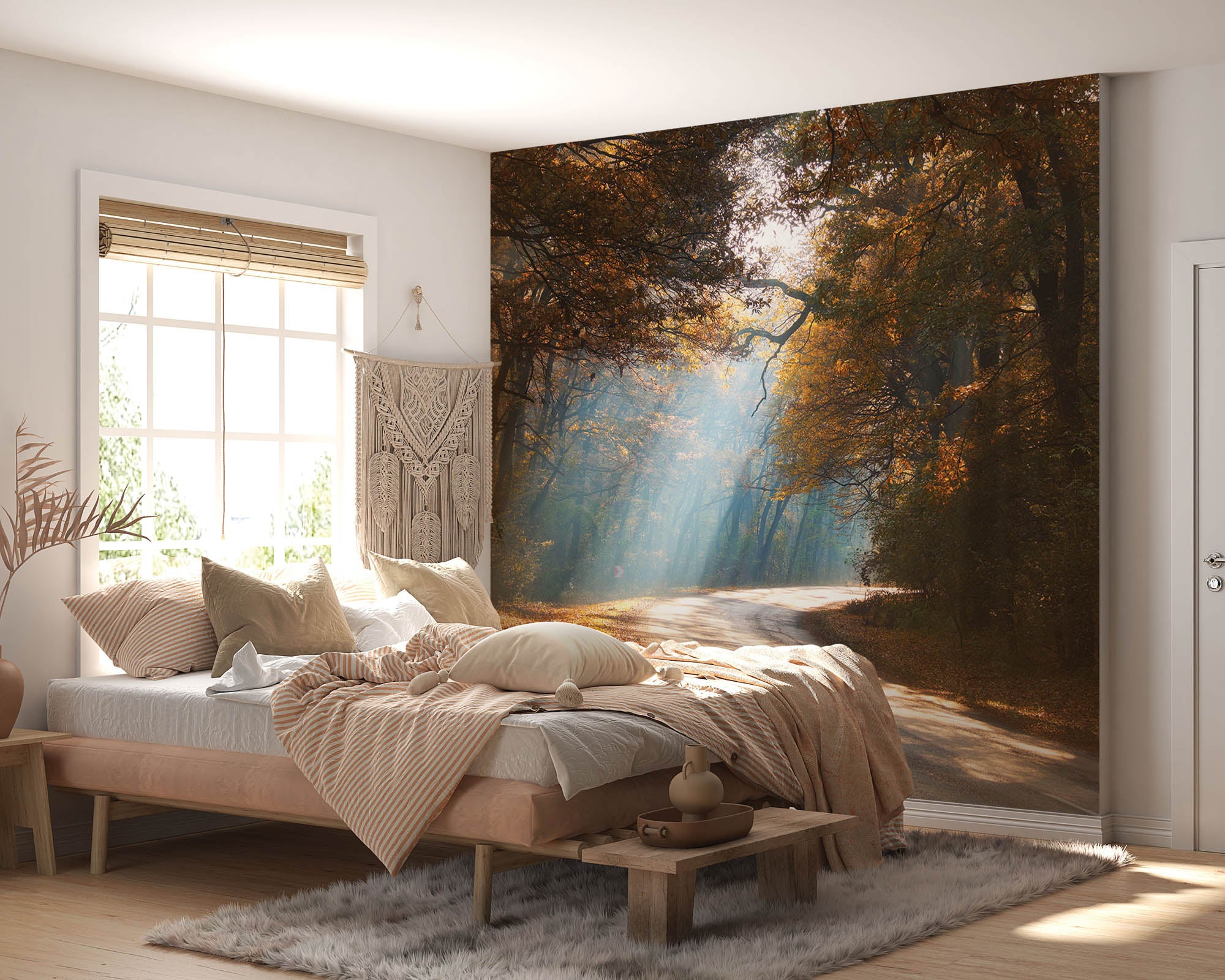 Een weg door mistig herfstbos - LW00259 Fotobehang