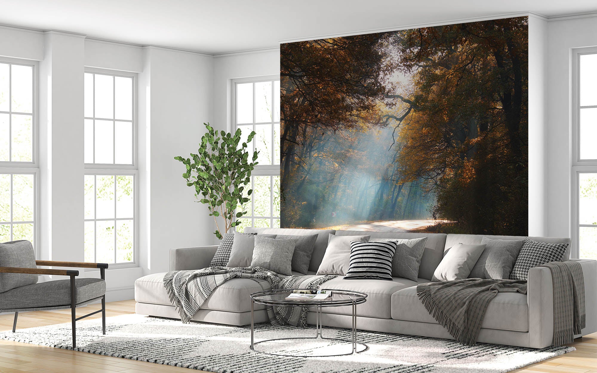 Een weg door mistig herfstbos - LW00259 Fotobehang