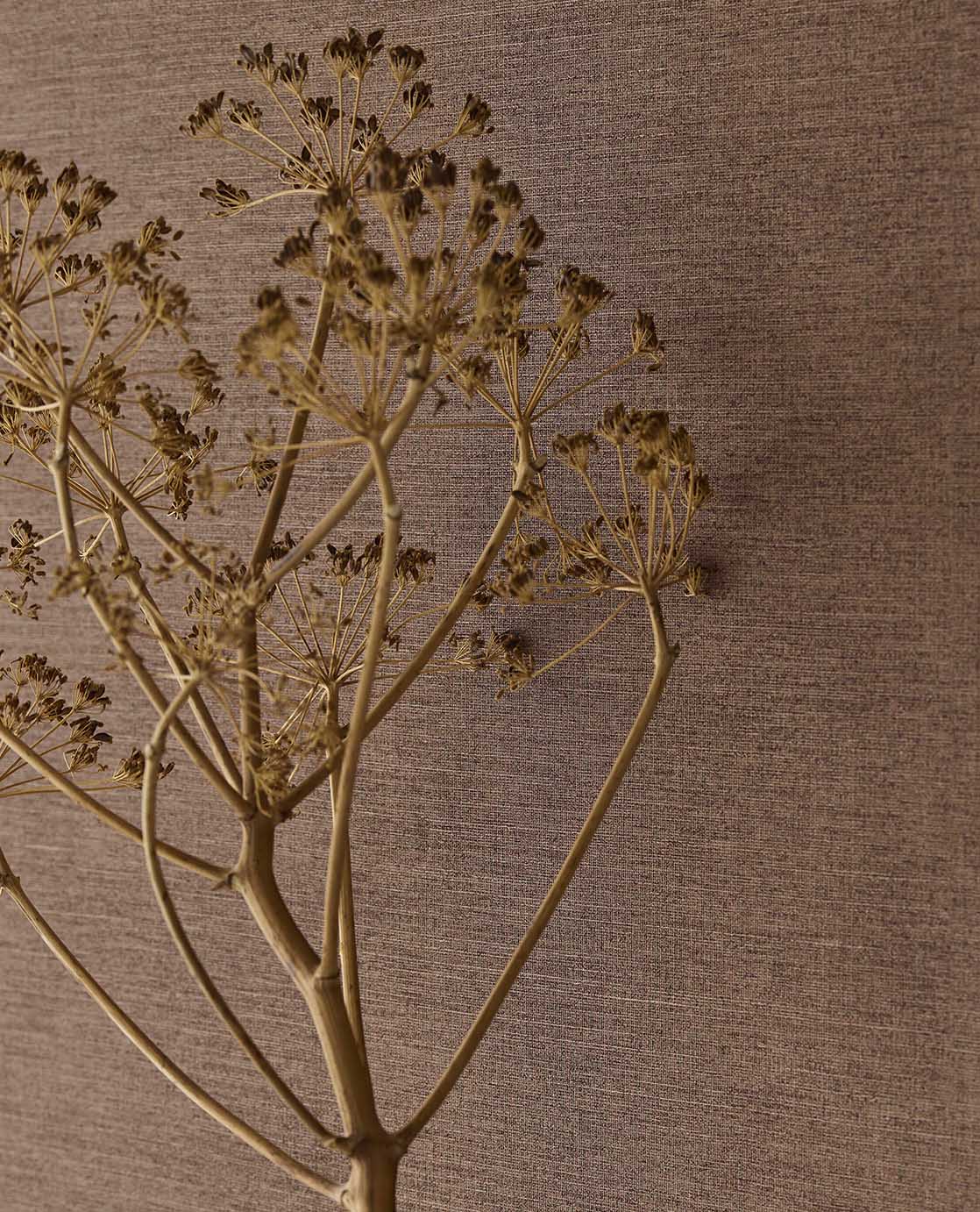 Eijffinger Riviera Maison 350592 Behang