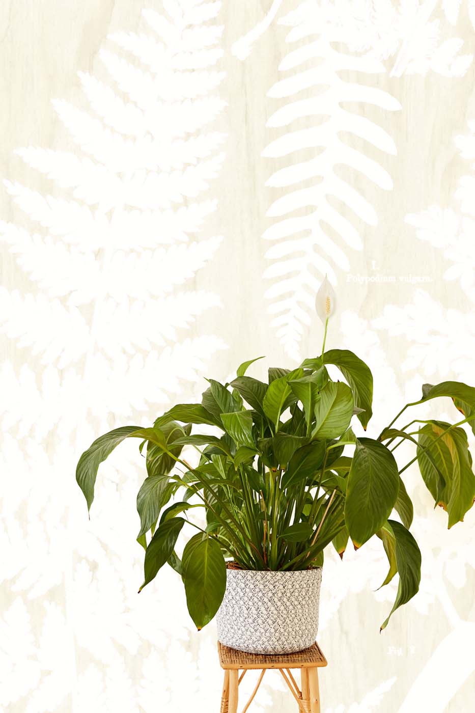 Eijffinger Wallpower Favourites 309019 Behang