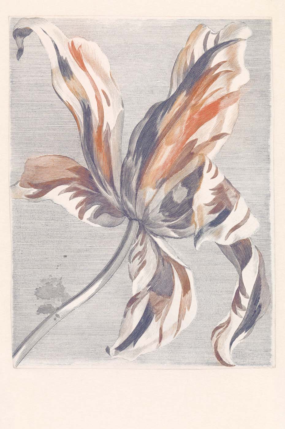 Eijffinger Wallpower Favourites 309031 Behang