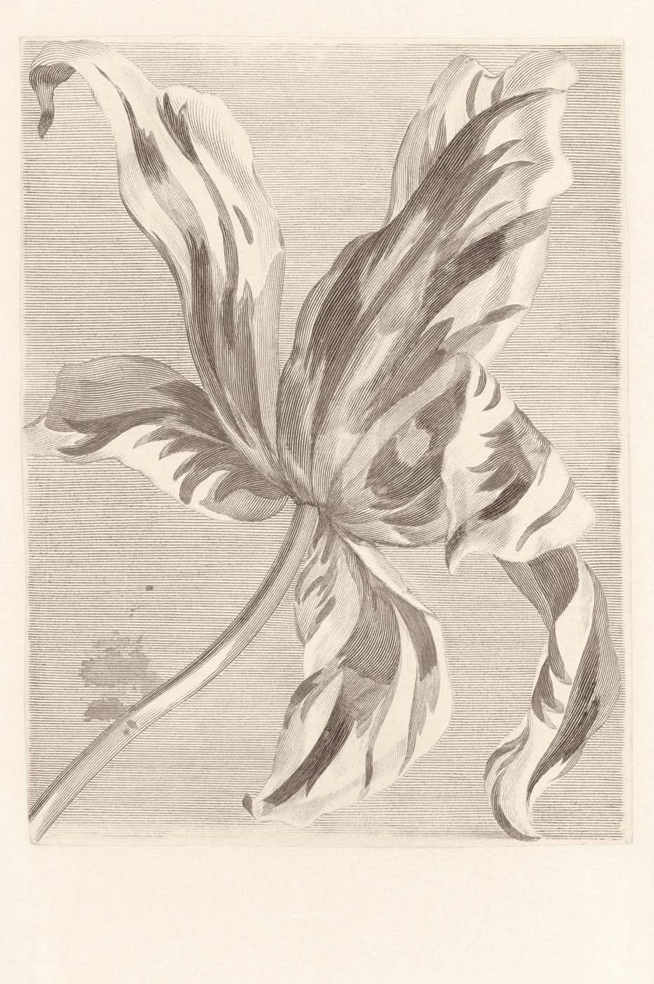 Eijffinger Wallpower Favourites 309032 Behang