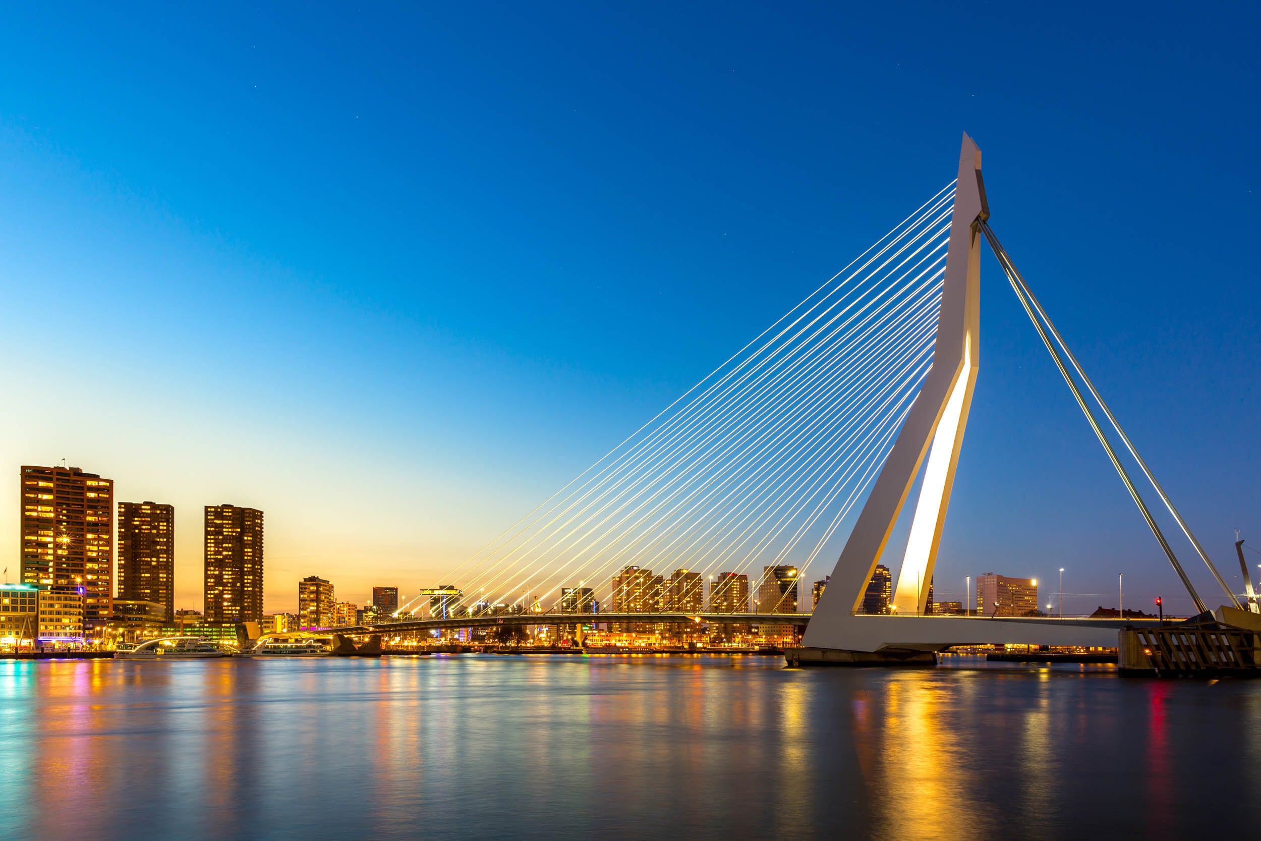 Erasmusbrug bij Nacht - LW00737 Fotobehang