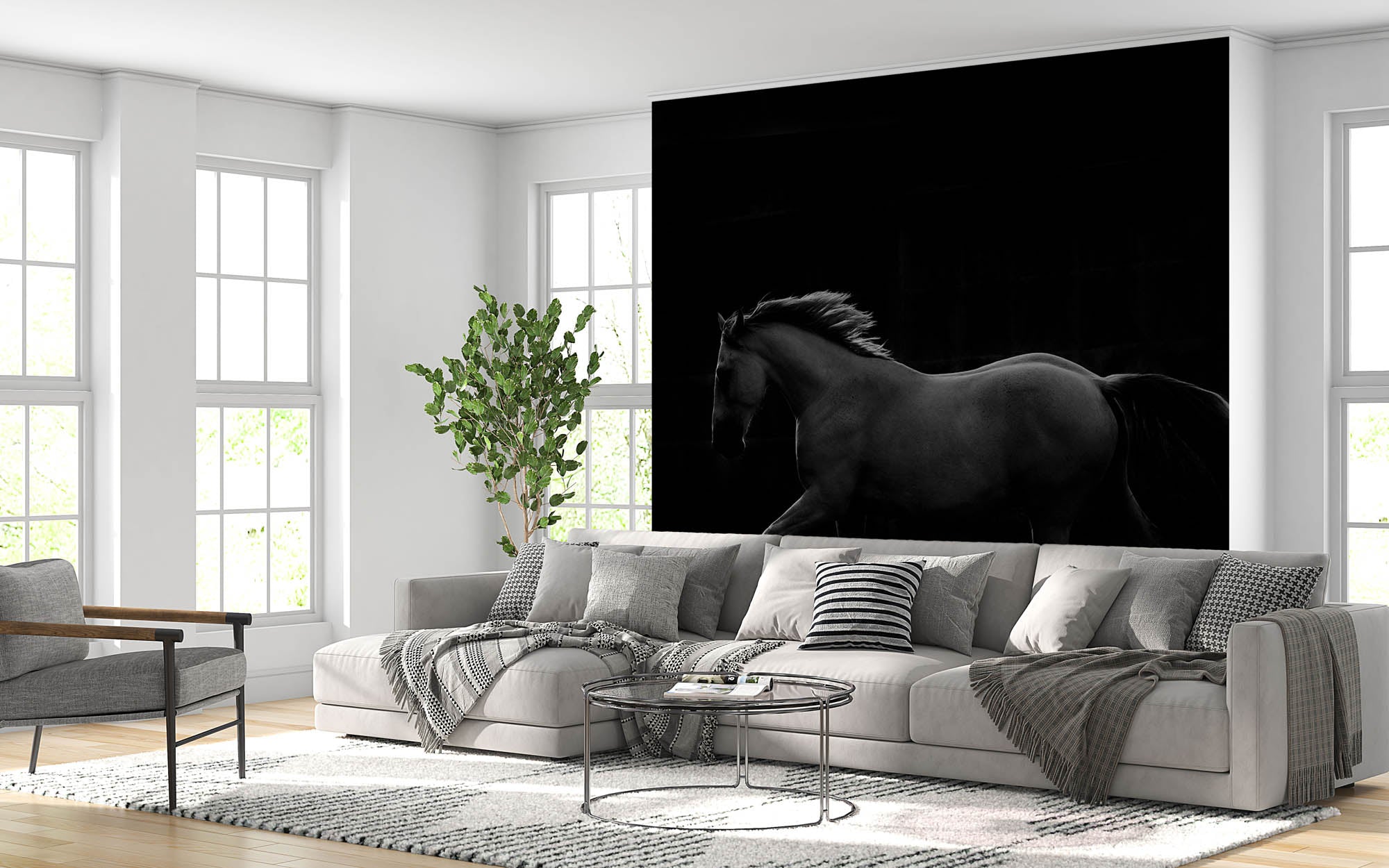 Galopperend paard - LW00219 Fotobehang
