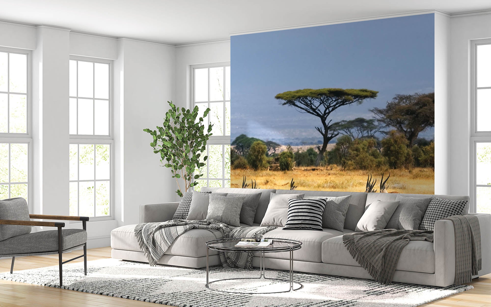 Gazelles - LW00151 Fotobehang